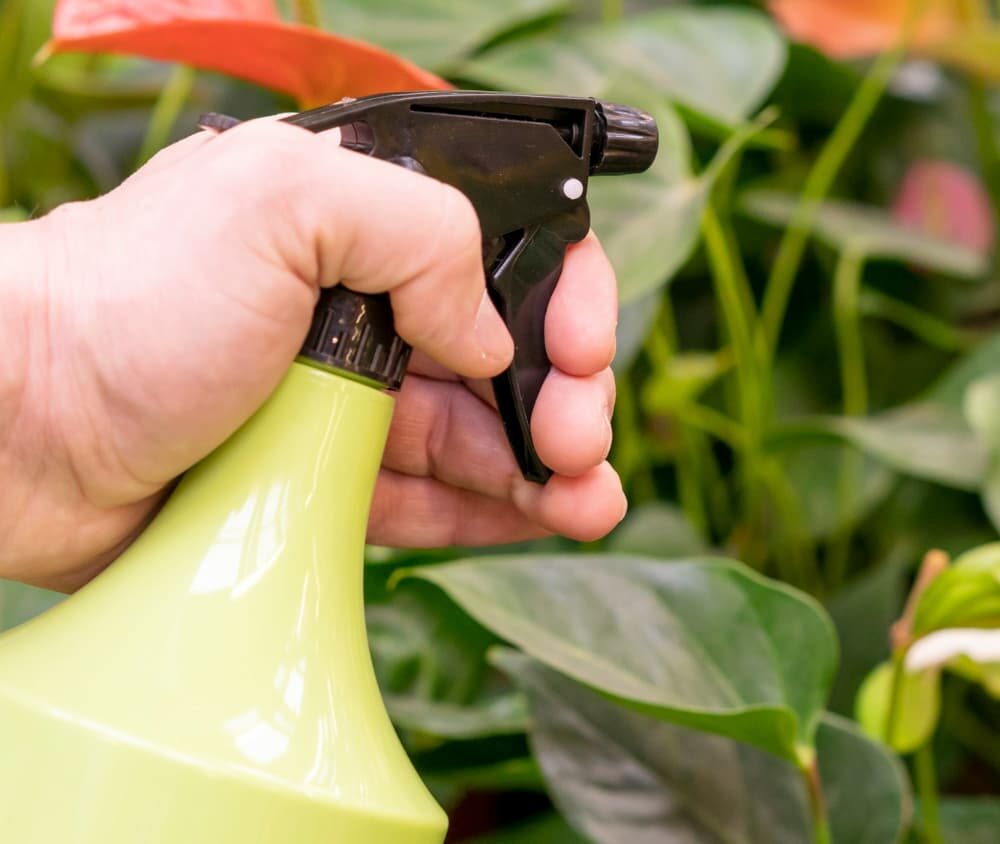 Which Kind of Pest Control is Ideal for Gardens